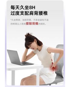 62 Butterfly Lumbar Back Cushion  