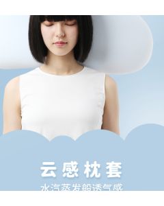 19 Cloud Pillow  